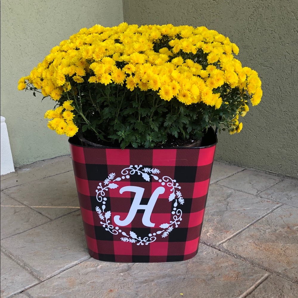 Perfect decor piece for the holidays!